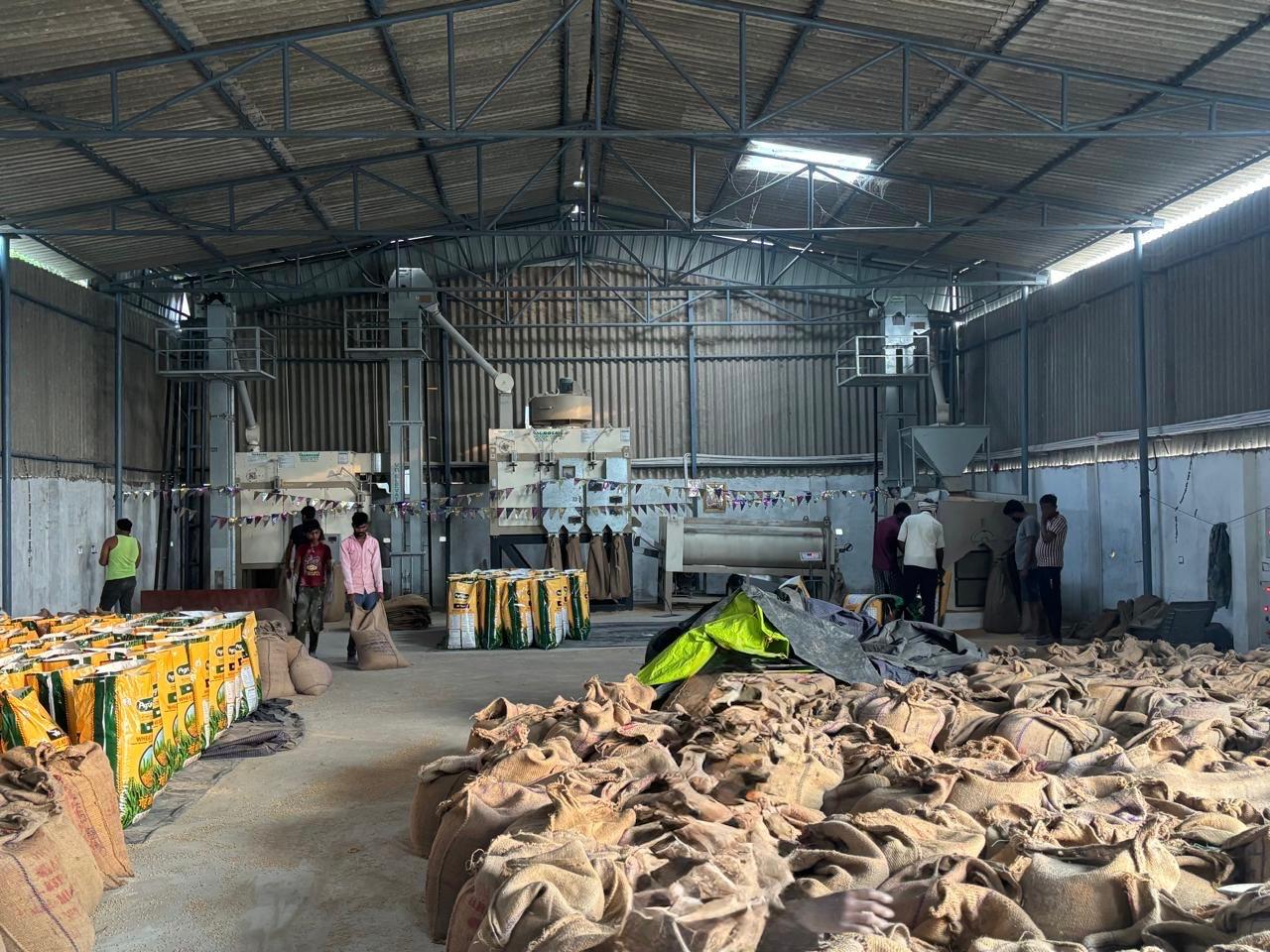 How ISO Accredited Seed Testing Labs Ensure 95%+ Germination Rates